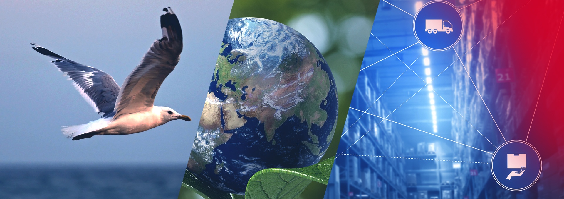 Image is divided into three parts, on the left is a seagull over the sea, in the middle is a globe supported by leaves, on the right is an industrial facility with symbolized networking