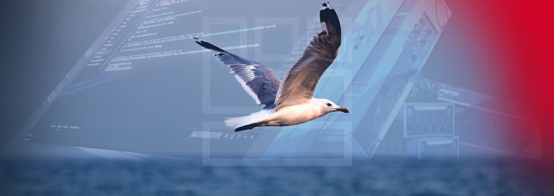 Seagull flying over the sea. In the background are indicated ctrlX AUTOMATION components.