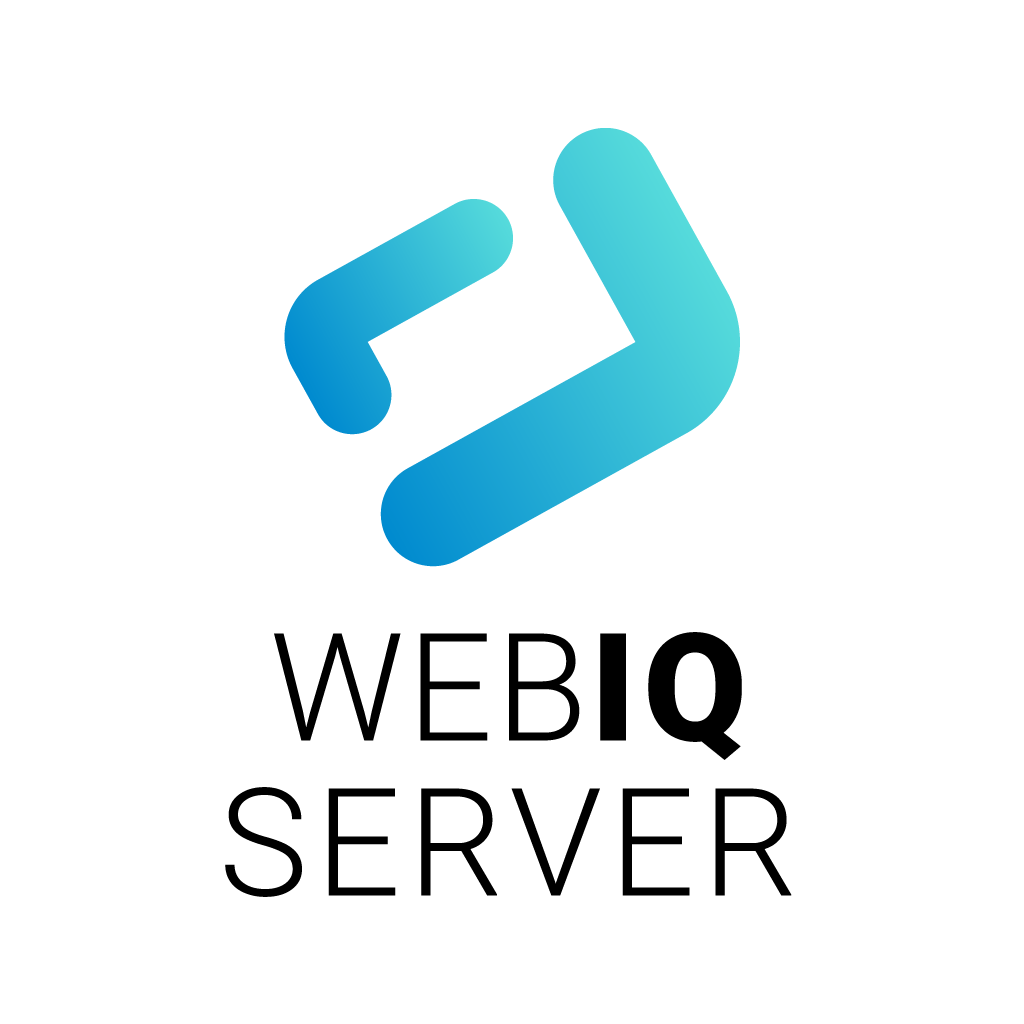 App WebIQ Server